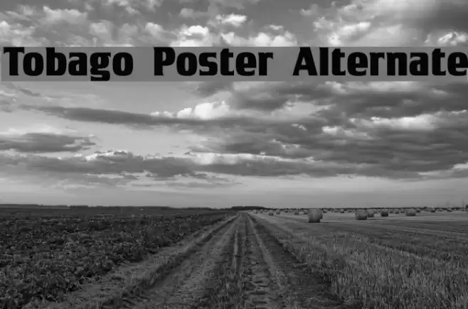 Tobago Poster Alternate Font examples