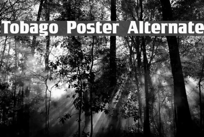 Tobago Poster Alternate Font examples