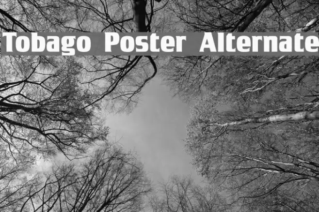 Tobago Poster Alternate Font examples