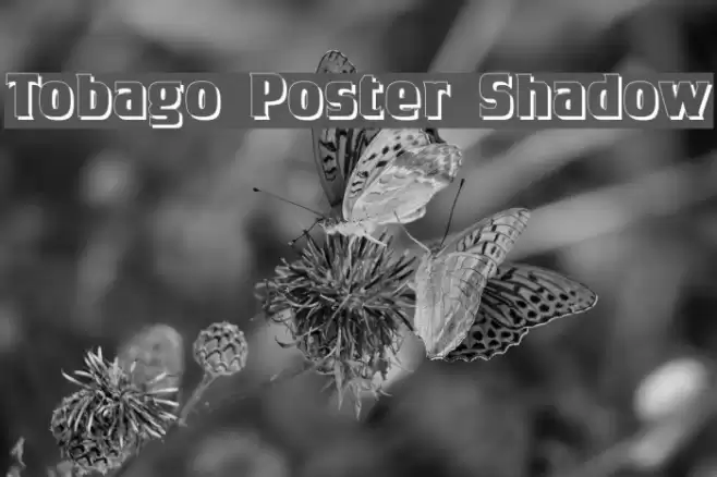 Tobago Poster Shadow Font examples