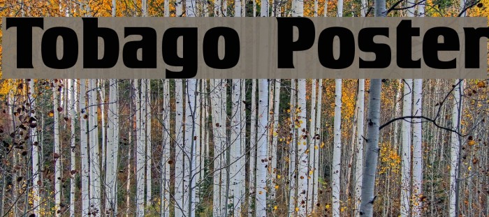 Tobago Poster Font examples
