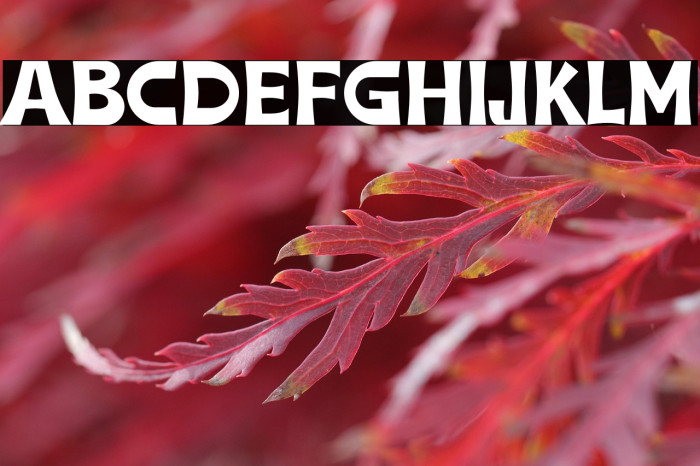 Tobelord - Personal Use Example 3