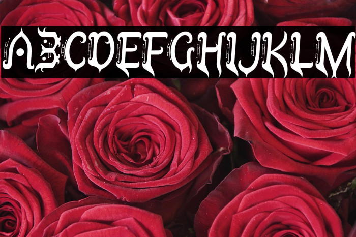 TobinTax-Regular Example 2