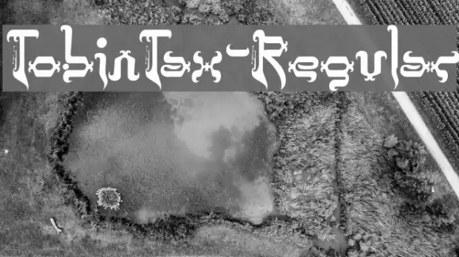 TobinTax-Regular Font examples