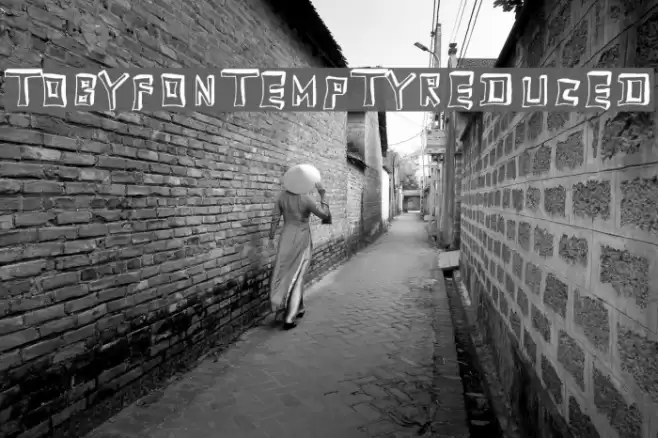 TobyFont-Emptyreduced Font examples