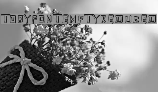 TobyFont-Emptyreduced Font examples