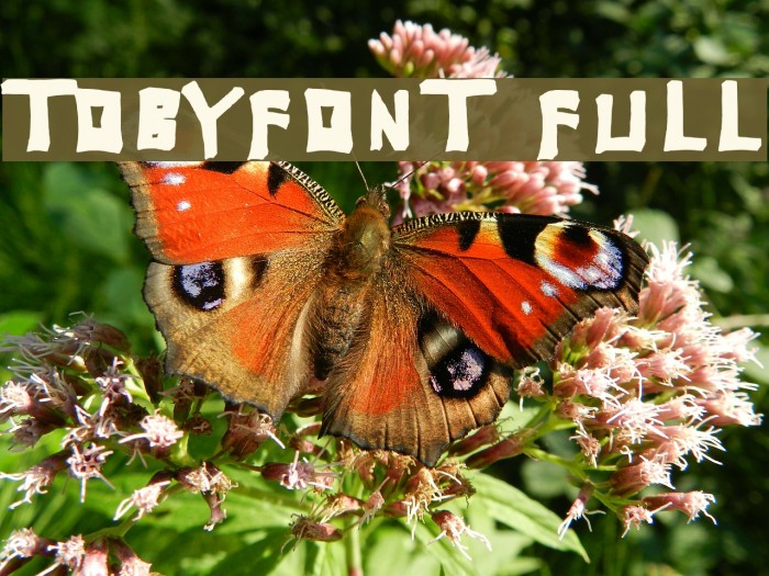 TobyFont Full Example 2