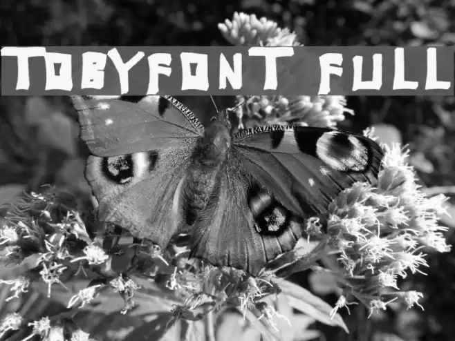 TobyFont Full Font examples