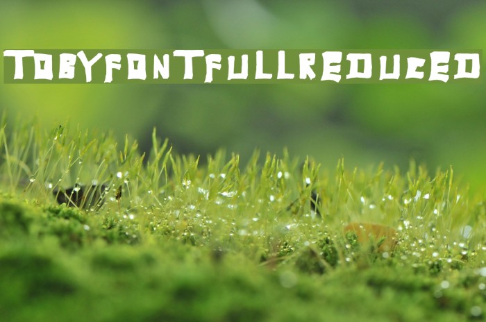 TobyFont-Fullreduced Font examples