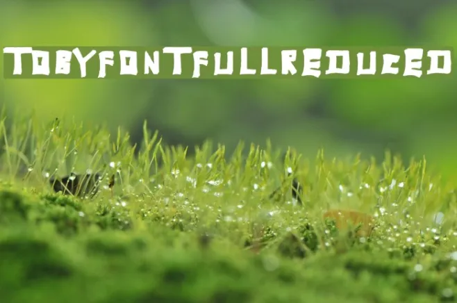 TobyFont-Fullreduced Example 1