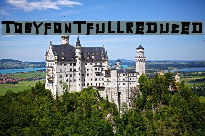 TobyFont-Fullreduced Font examples
