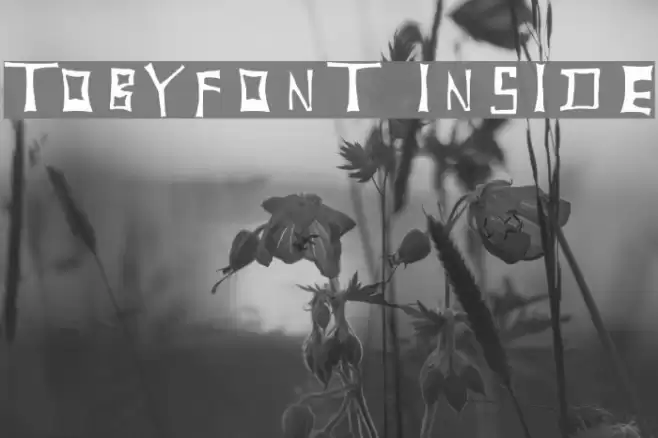 TobyFont Inside Font examples