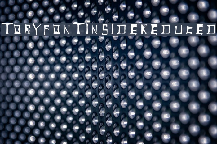 TobyFont-Insidereduced Font examples