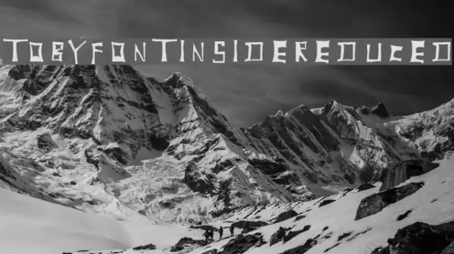 TobyFont-Insidereduced Font examples