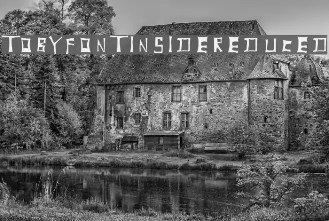 TobyFont-Insidereduced Font examples