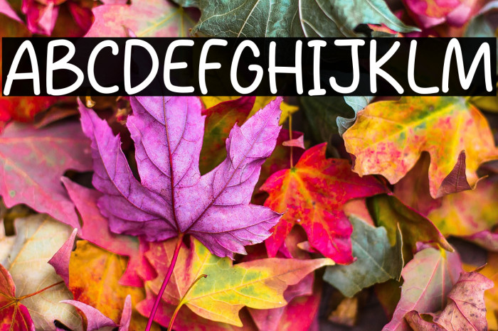 Today Show Example 3