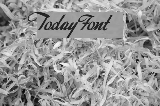 Today Polices examples