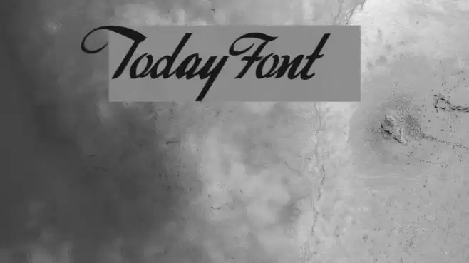 Today Polices examples