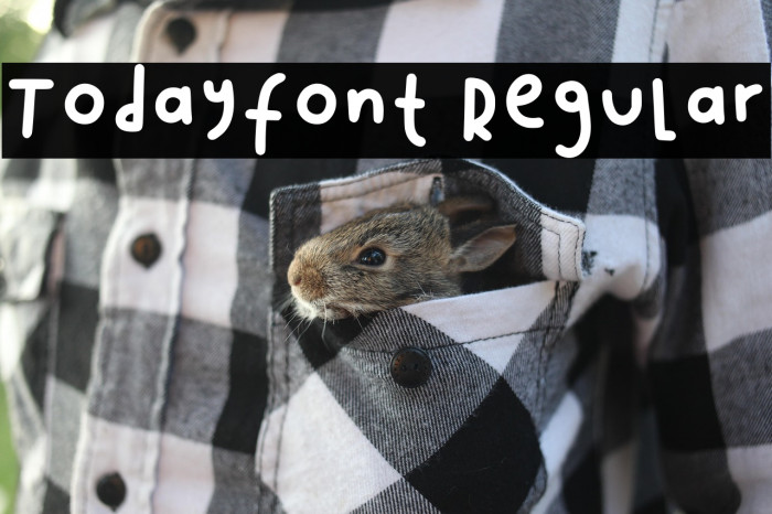 Todayfont1 Regular Example 2