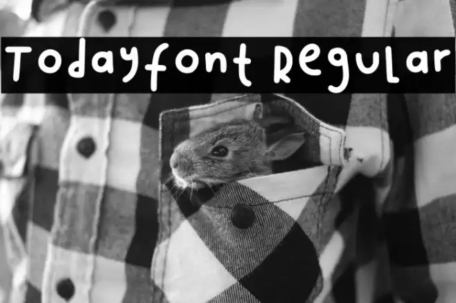 Todayfont1 Regular Fuentes examples
