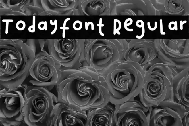 Todayfont1 Regular Fuentes examples