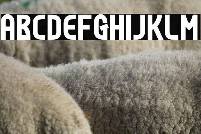 Todays-Bold Example 3