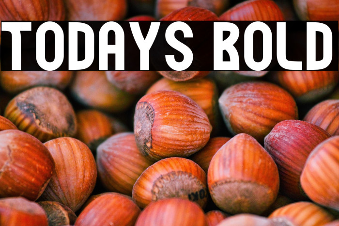 Todays Bold Example 1