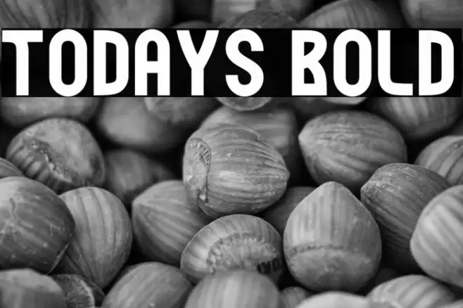 Todays Bold Font examples