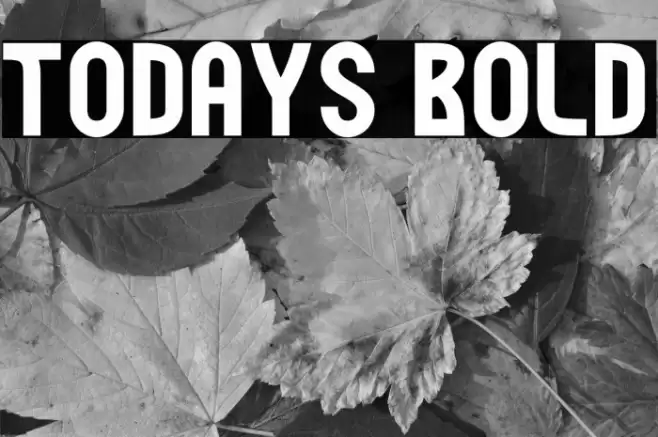 Todays Bold Font examples