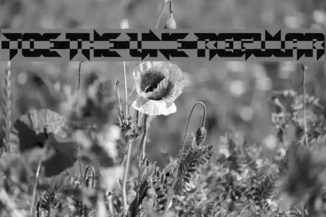 Toe the Line Regular Font examples