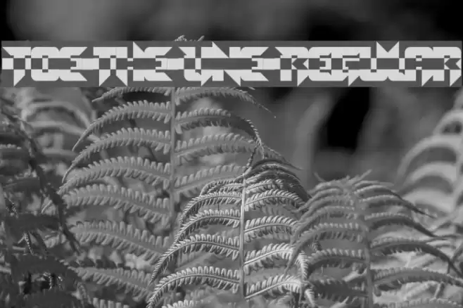 Toe the Line Regular Font examples