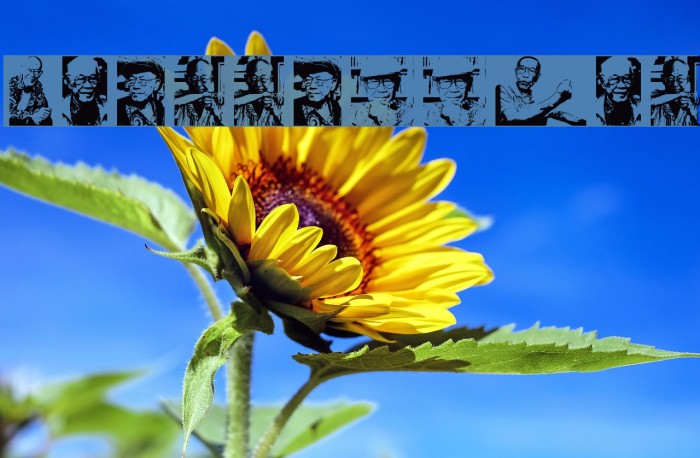 Toer Regular Example 1