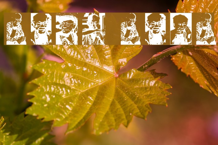 Toer Font examples