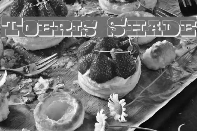 Toeris Shade Font examples