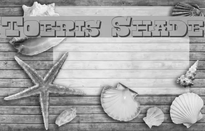 Toeris Shade Font examples