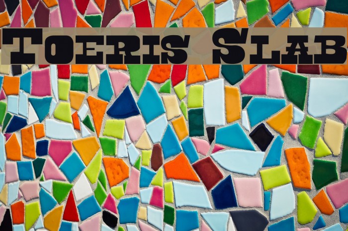Toeris Slab Font examples