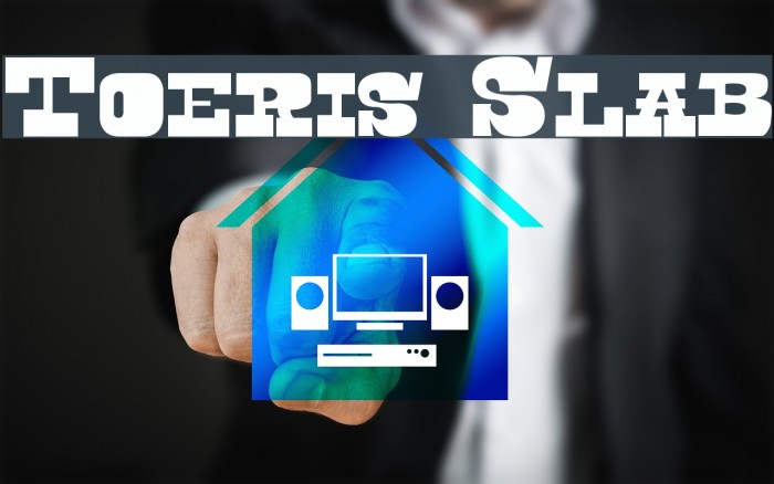 Toeris Slab Font examples