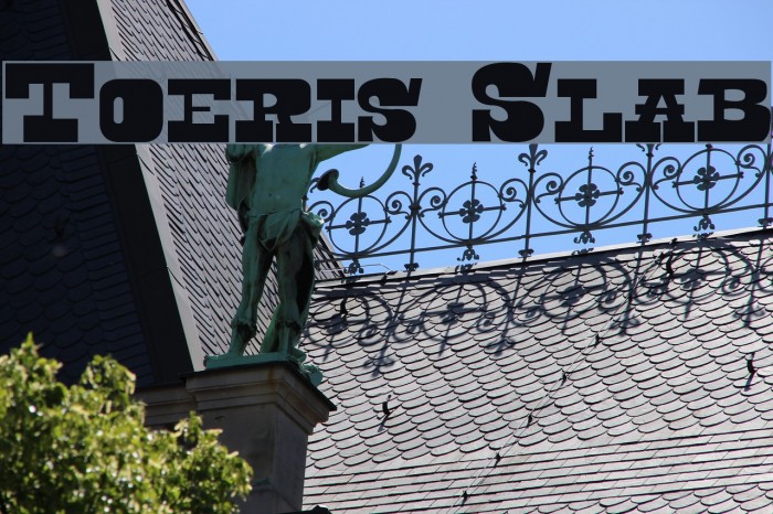 Toeris Slab Font examples