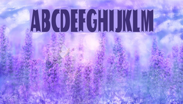 Tofu Font examples