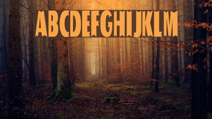 Tofu Font examples