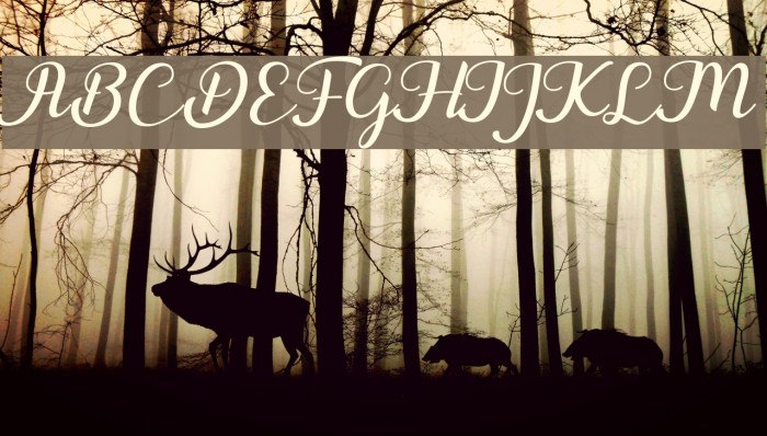 Togetha Font examples