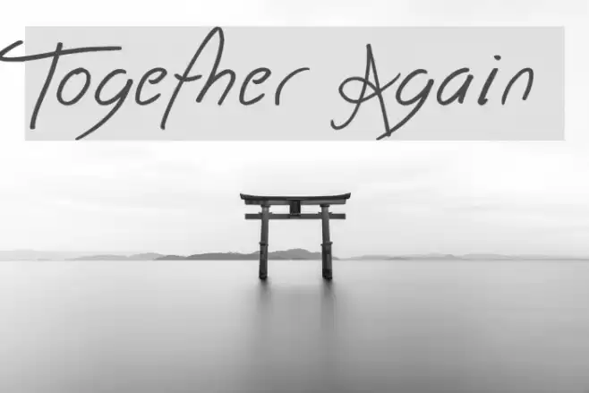Together Again フォント examples