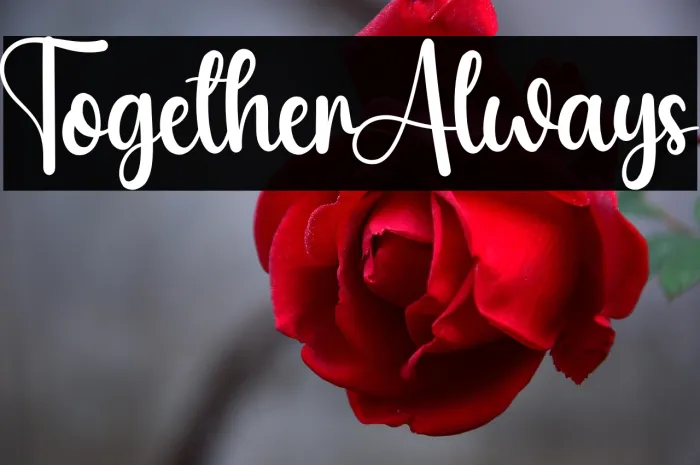 Together Always Example 1