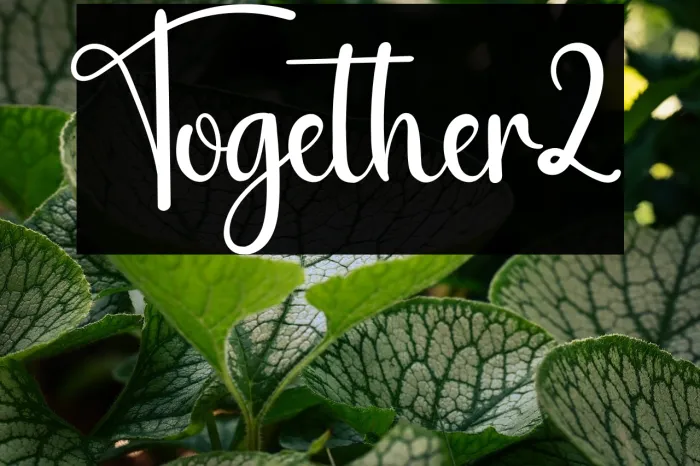 Together2 Example 3