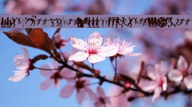 TogetherShadowsOne Example 1