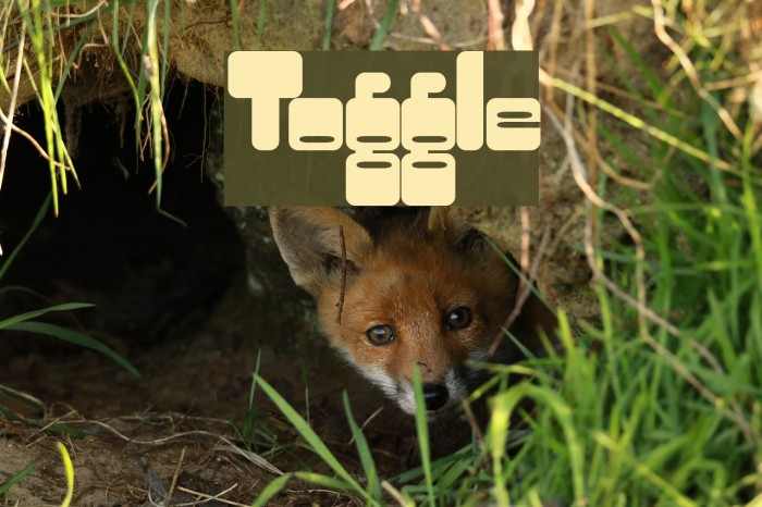 Toggle Font examples