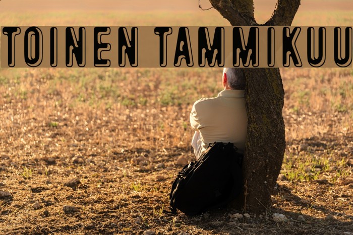 Toinen tammikuu Font examples