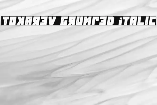 Tokarev Grunged Italic Font examples