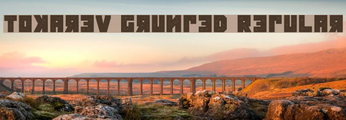 Tokarev Grunged Regular Font examples