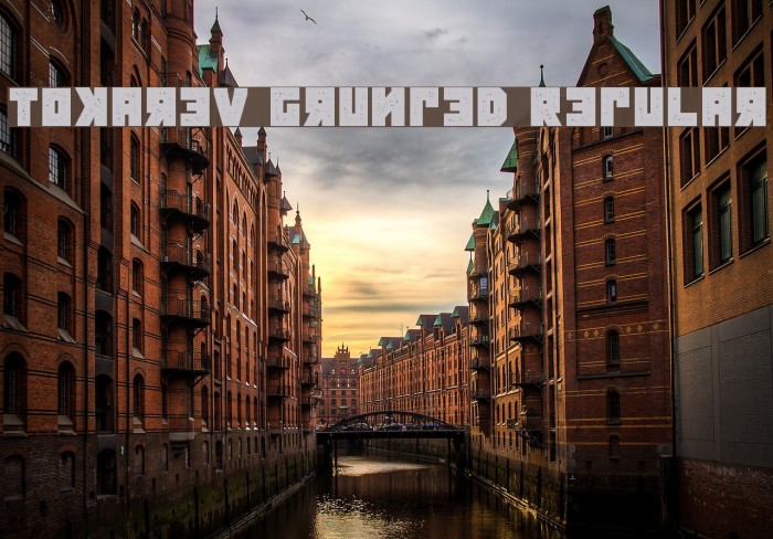 Tokarev Grunged Regular Font examples